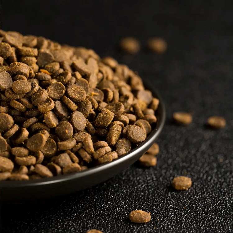 Grain-free Cat Food